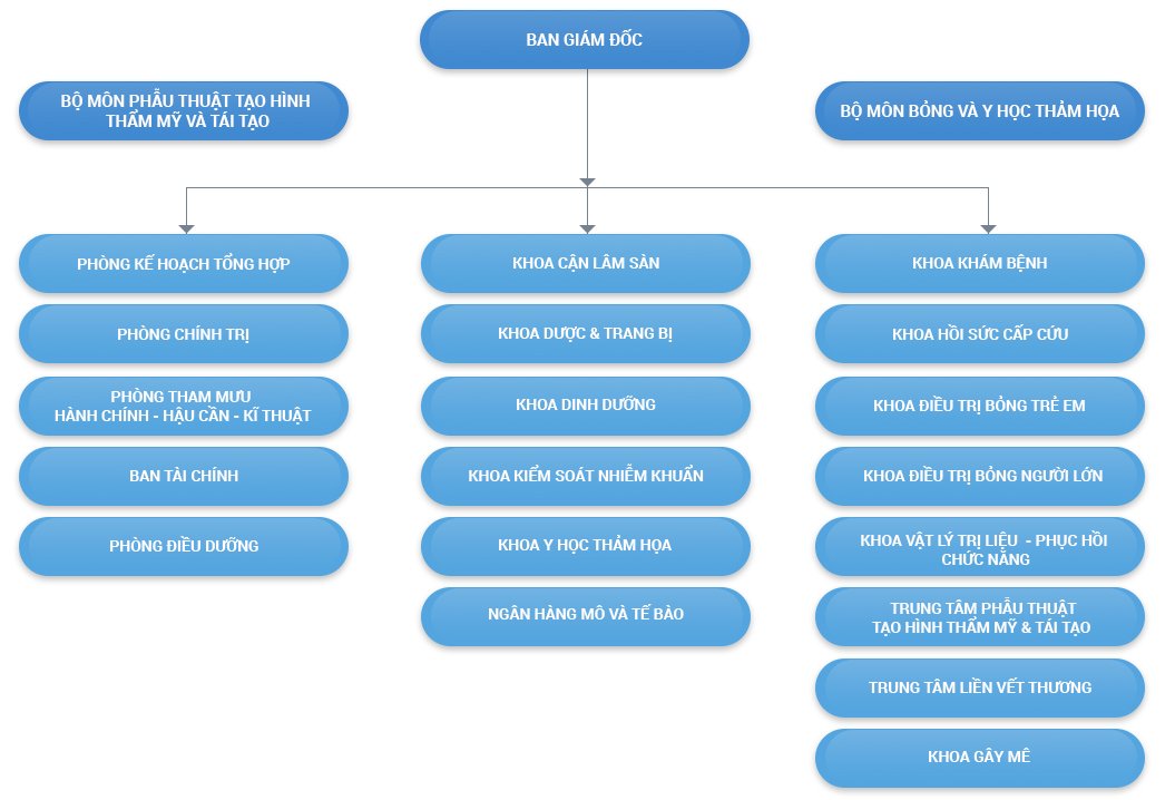 Sơ đồ tổ chức