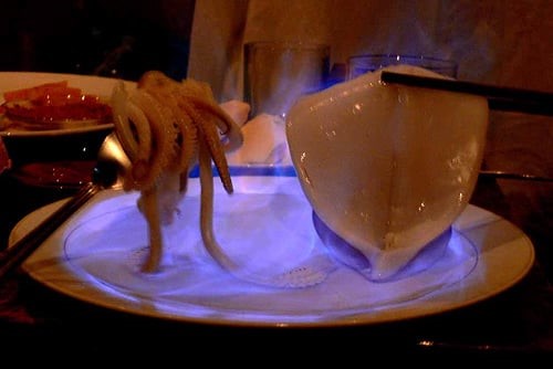 Cảnh báo bỏng lửa cồn vào mùa hè