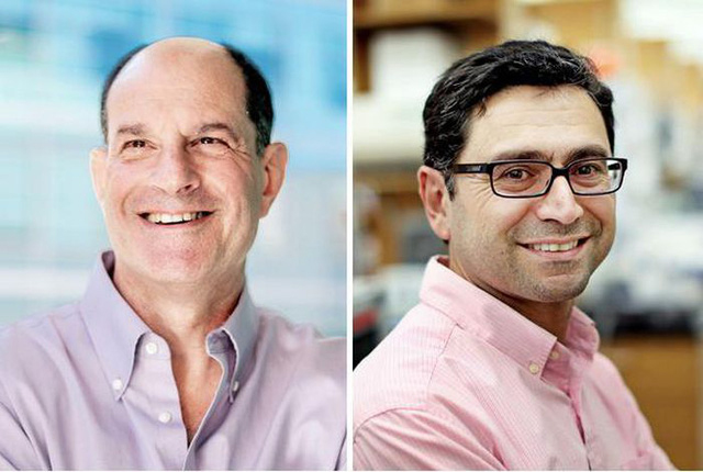 Nobel Y sinh 2021: Khám phá chưa từng có về cơ chế thụ cảm nhiệt độ và xúc giác của cơ thể người